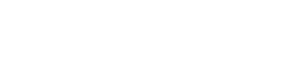 AFIL-White American Fidelity International Ltd. logo