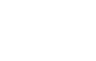 American Public Life APL Logo