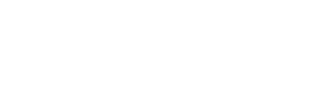 American Fidelity Foundation a different opinion logo