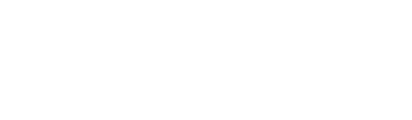 American Fidelity International Bermuda Ltd. logo